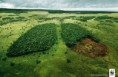 /album/galerie-photos/environnement-ecologie-15-exemples-campagnes-l-6-jpeg/